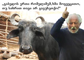 რამდენი წლის იყო ყველაზე უფროსი კამეჩი(?!)