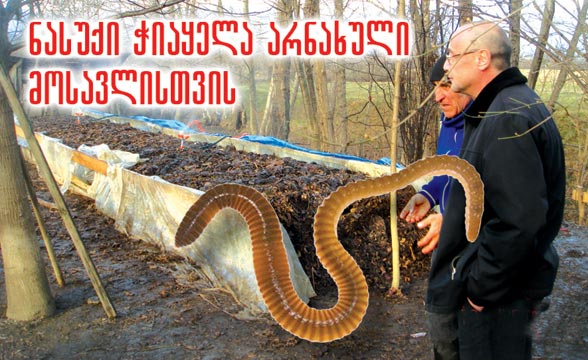 Kviris Palitra