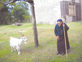 Kviris Palitra