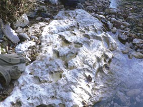 KvirisPalitra.Ge