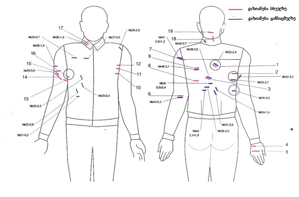 KvirisPalitra.Ge KvirisPalitra.Ge