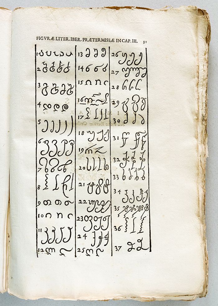 წიგნში გამოყენებულია ქართული დამწერლობის სამივე სახე: მხედრული, ასომთავრული, ნუსხური; ქართული ანბანი რიცხობრივი შესატყვისობით