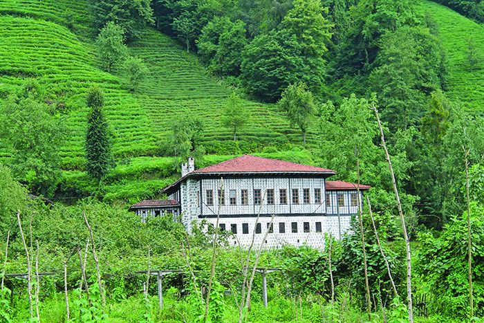 ლაზური სახლი ფინდიკლის რაიონის სოფელ აბუში. გიორგი კრავეიშვილისა და ნაზი მემიშიშის 2014 წლის ექსპედიცია. თამაზ კრავეიშვილის ფოტო