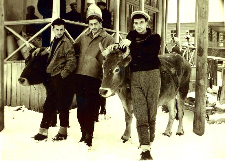 ჯონდო მეტრეველი, ზვიად გამსახურდია და გურამ დოჩანაშვილი