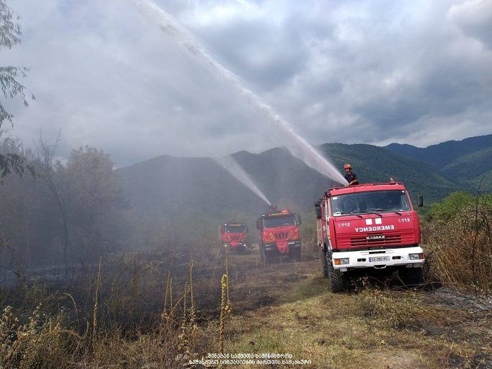 ყველაზე თანამედროვე სახანძრო მანქანასაც არ შეუძლია გაუვალ ტყეში ასვლა
