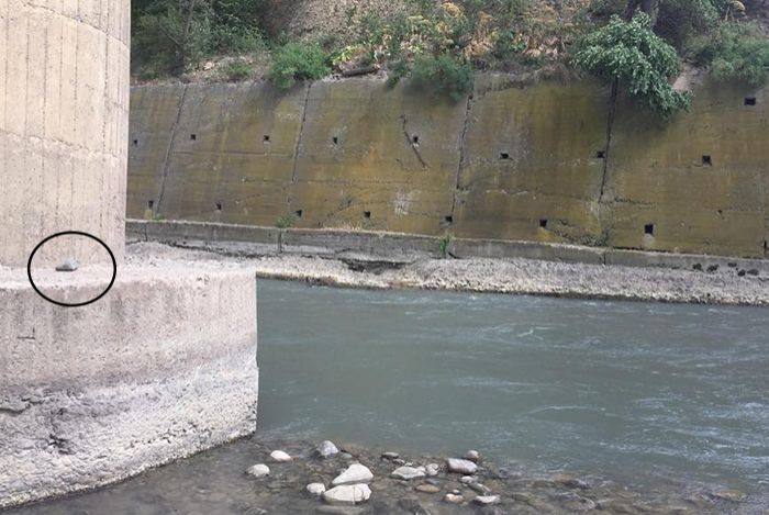 ქვით მონიშნულია ის ადგილი, სადაც შაქარაშვილის ჩანთა იპოვეს