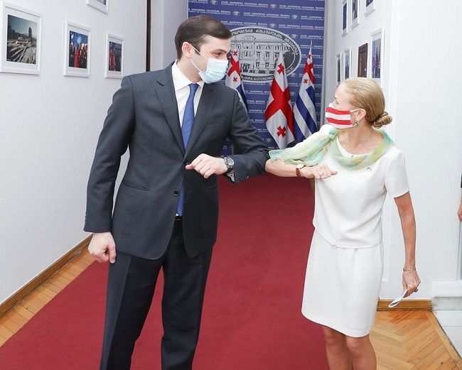 თორნიკე რიჟვაძე და აშშ-ის ელჩი, კელი დეგნანი